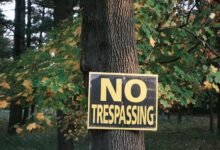 data protection council numbers