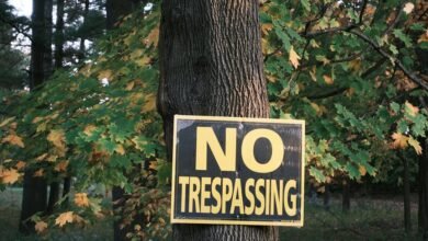 data protection council numbers