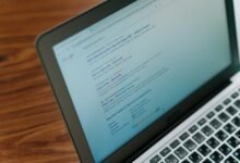 backlink strategy for growth